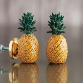 Graham & Green pineapple ceramic knob